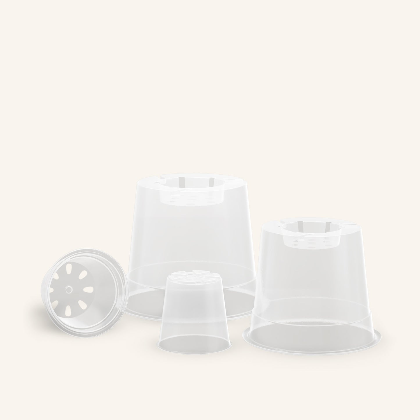 Vasi trasparenti per orchidee