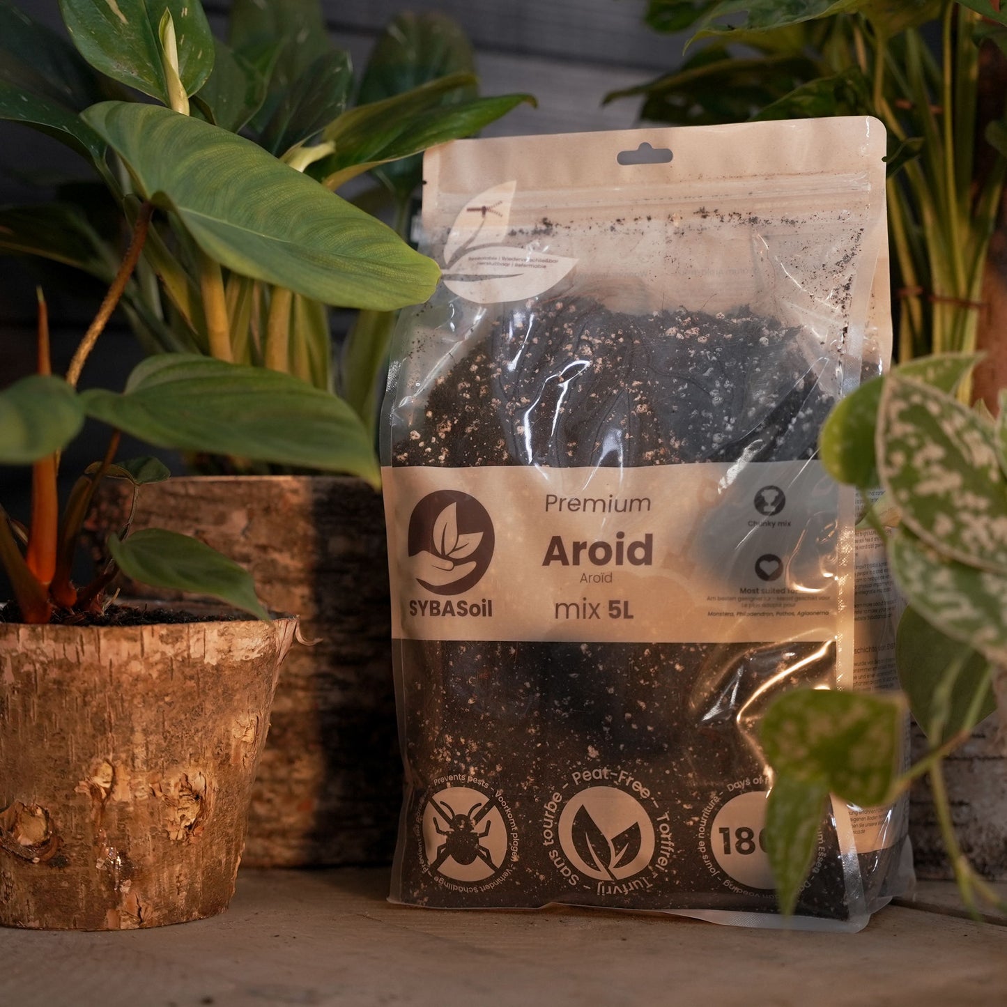 Super DIY Terriccio per Aroidi Pacchetto