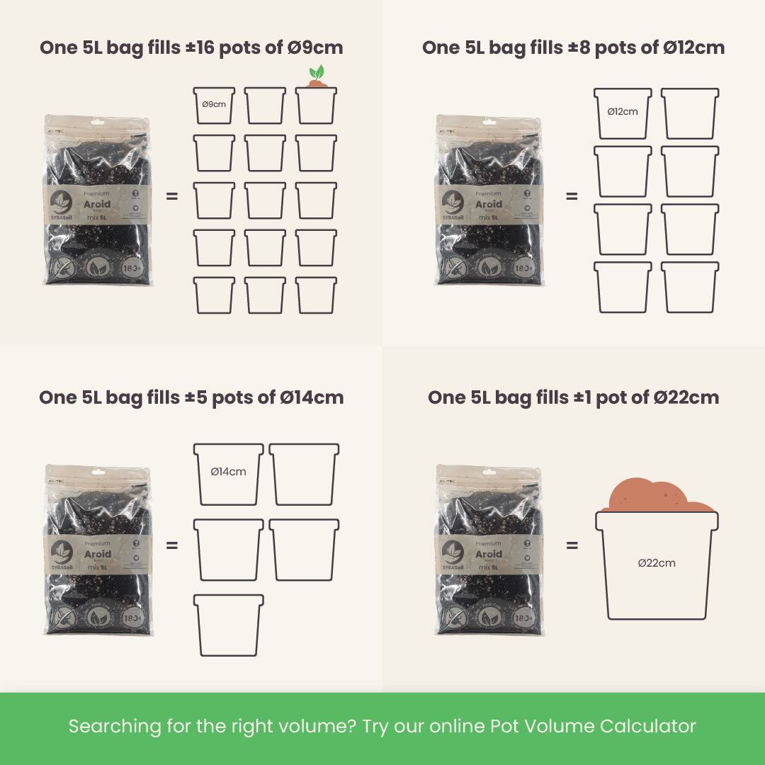 Terriccio per Terrario