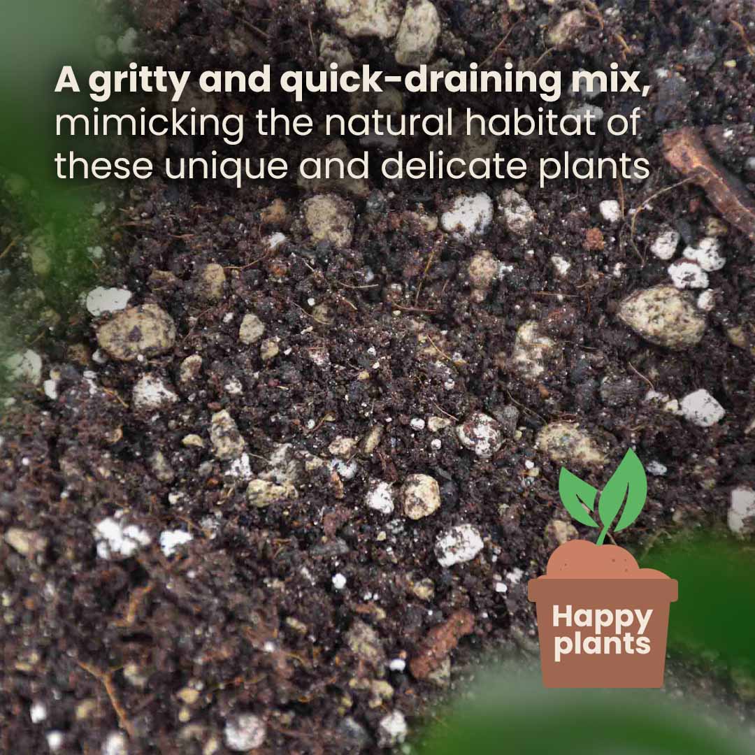 Terriccio per Bonsai