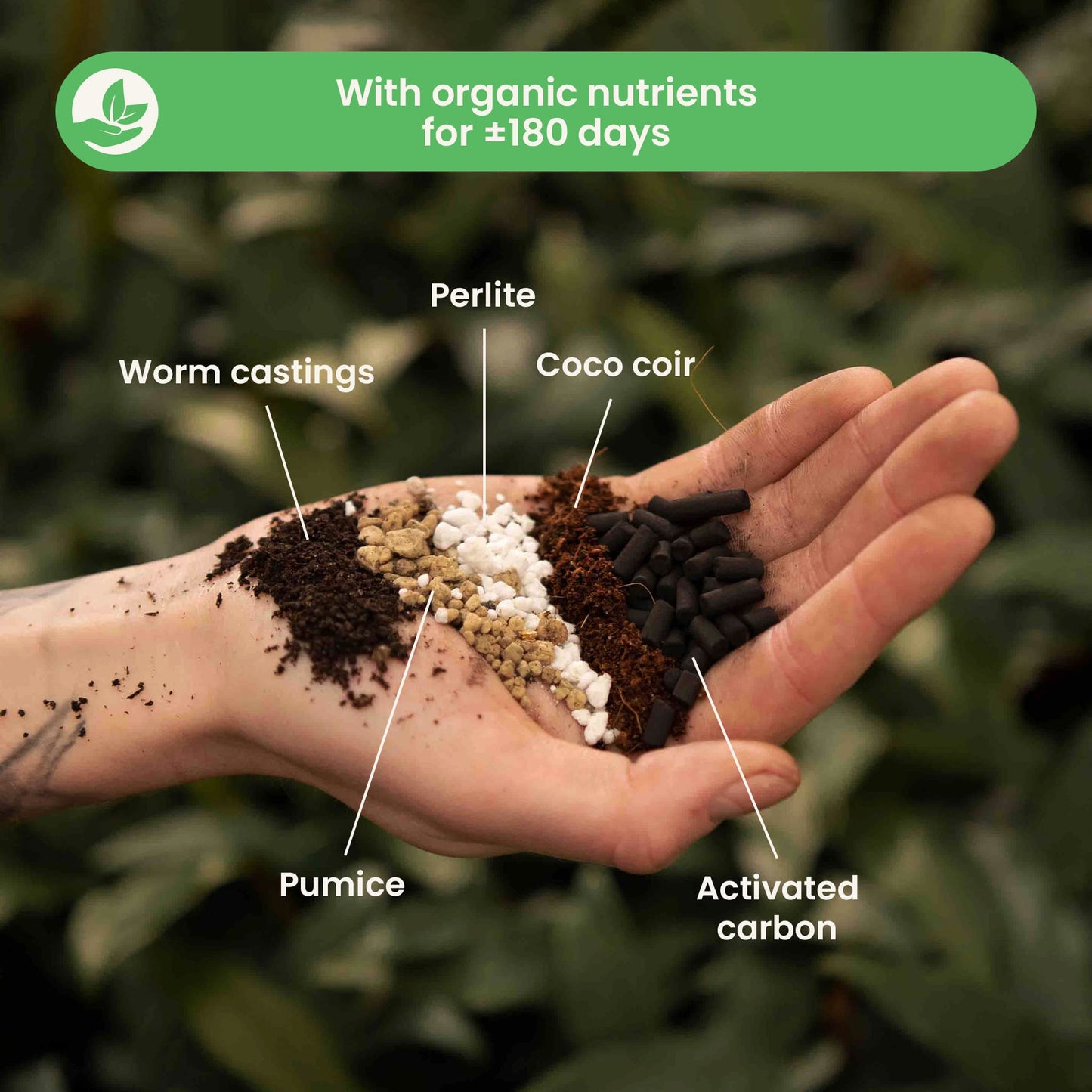 Terriccio per Bonsai