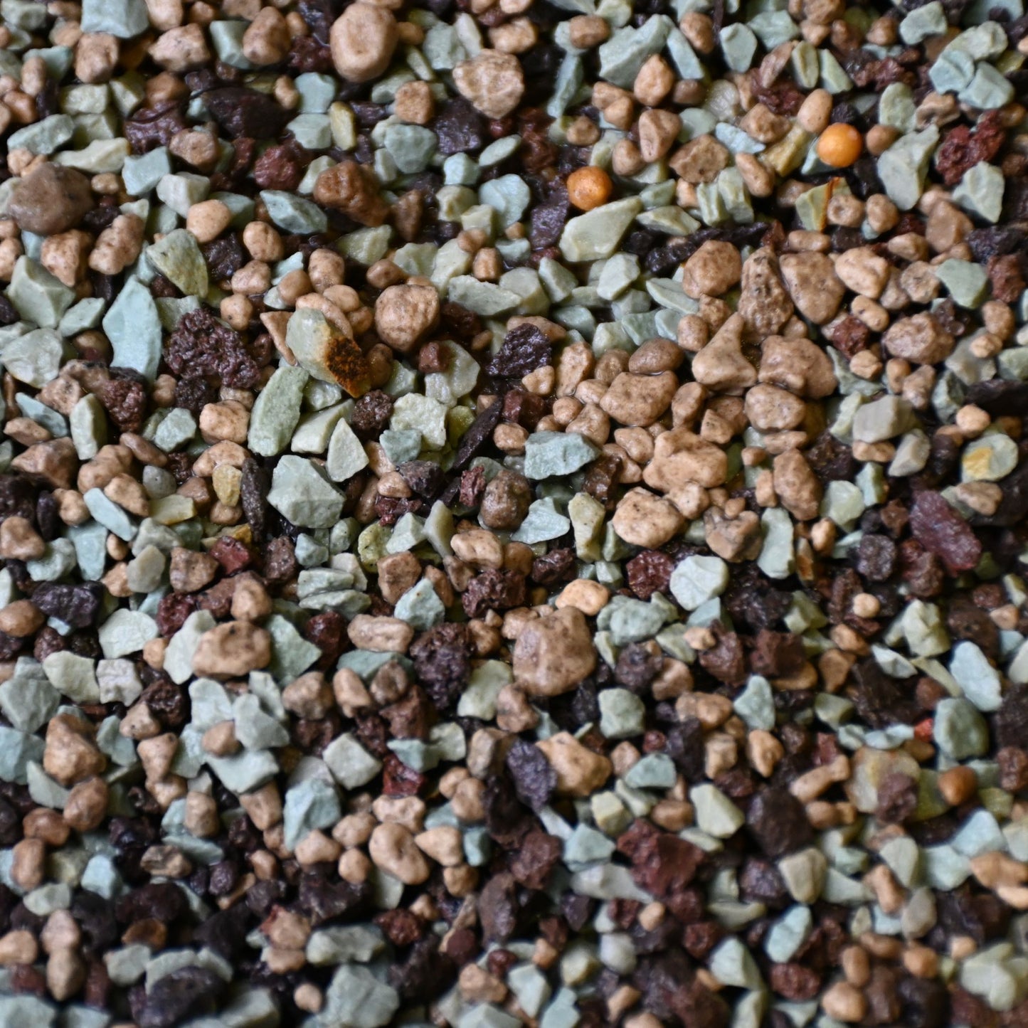 Mix Minerale per Cactus e Succulente