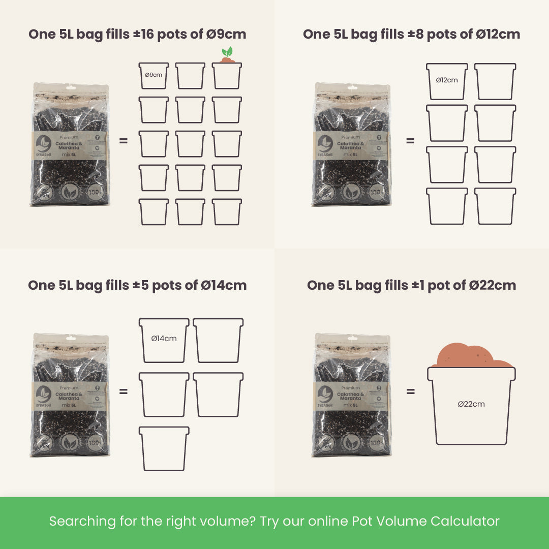 Terriccio per Calathea & Maranta