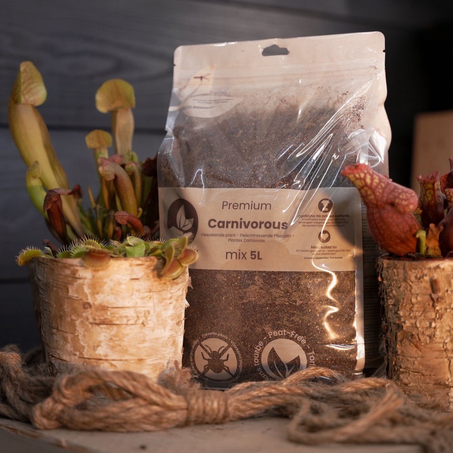 Terriccio per Pianta carnivore