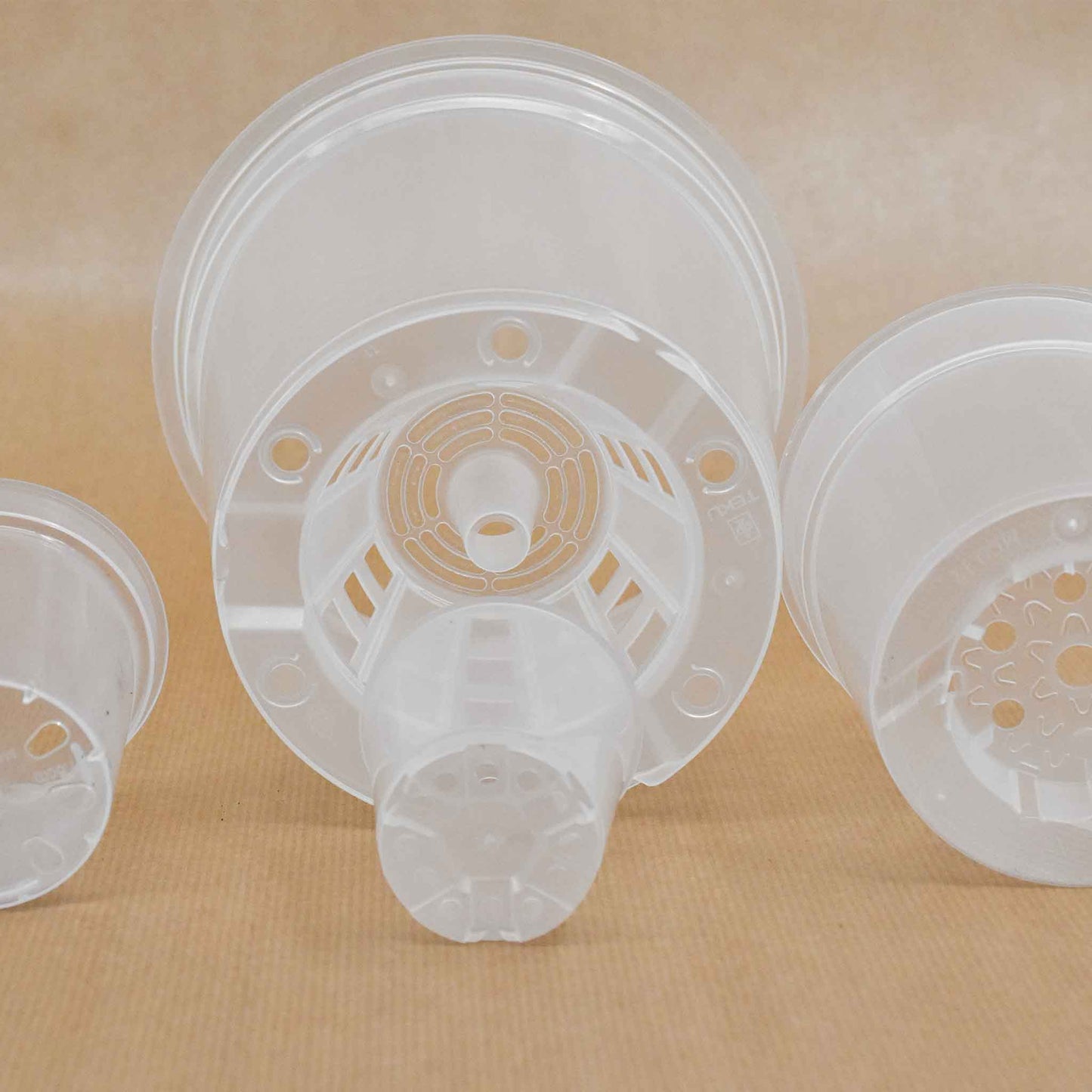 Vasi trasparenti per orchidee