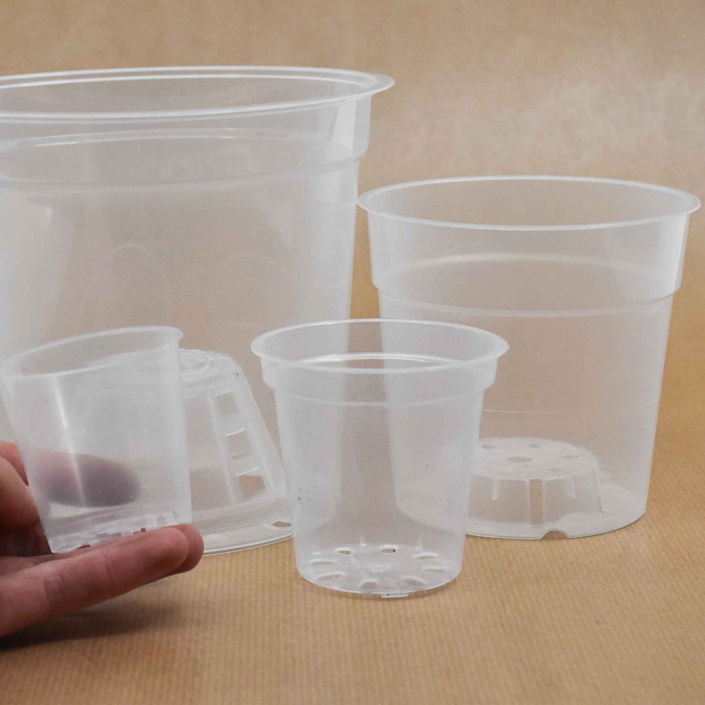 Vasi trasparenti per orchidee