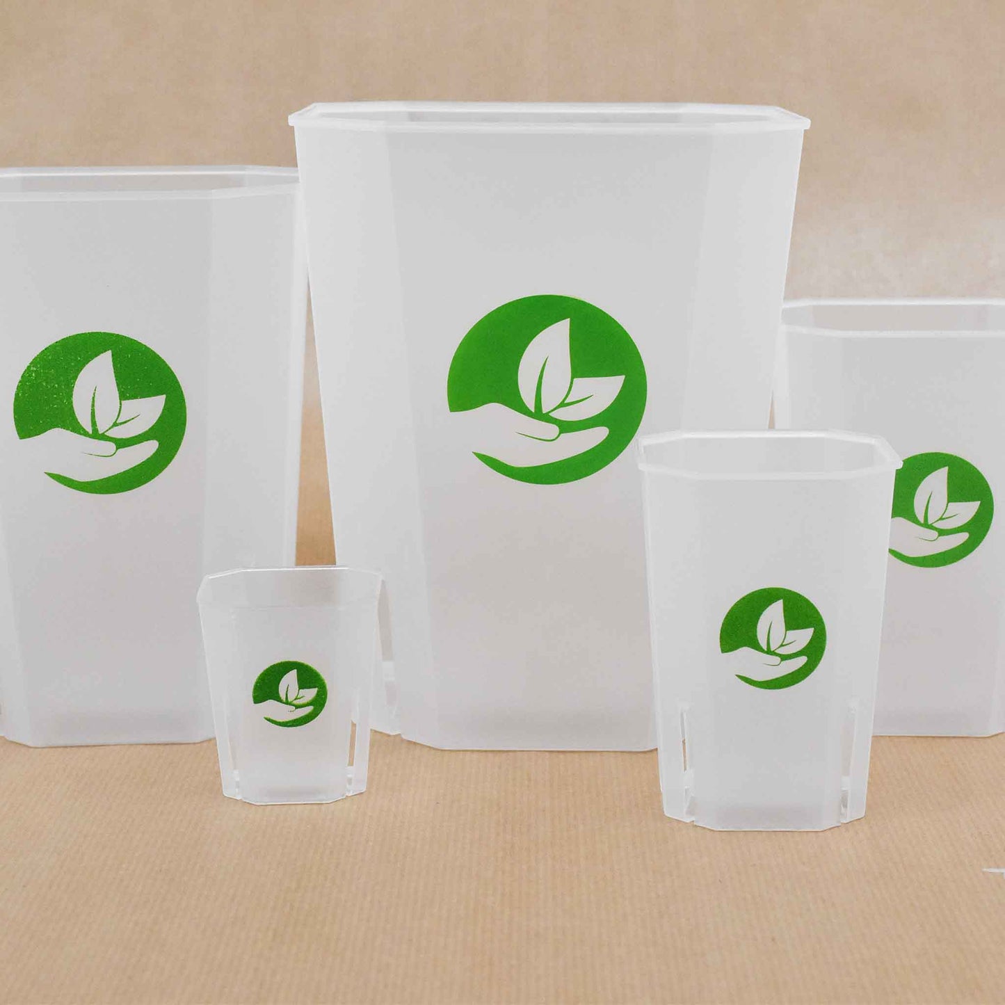 Vasi quadrati trasparenti