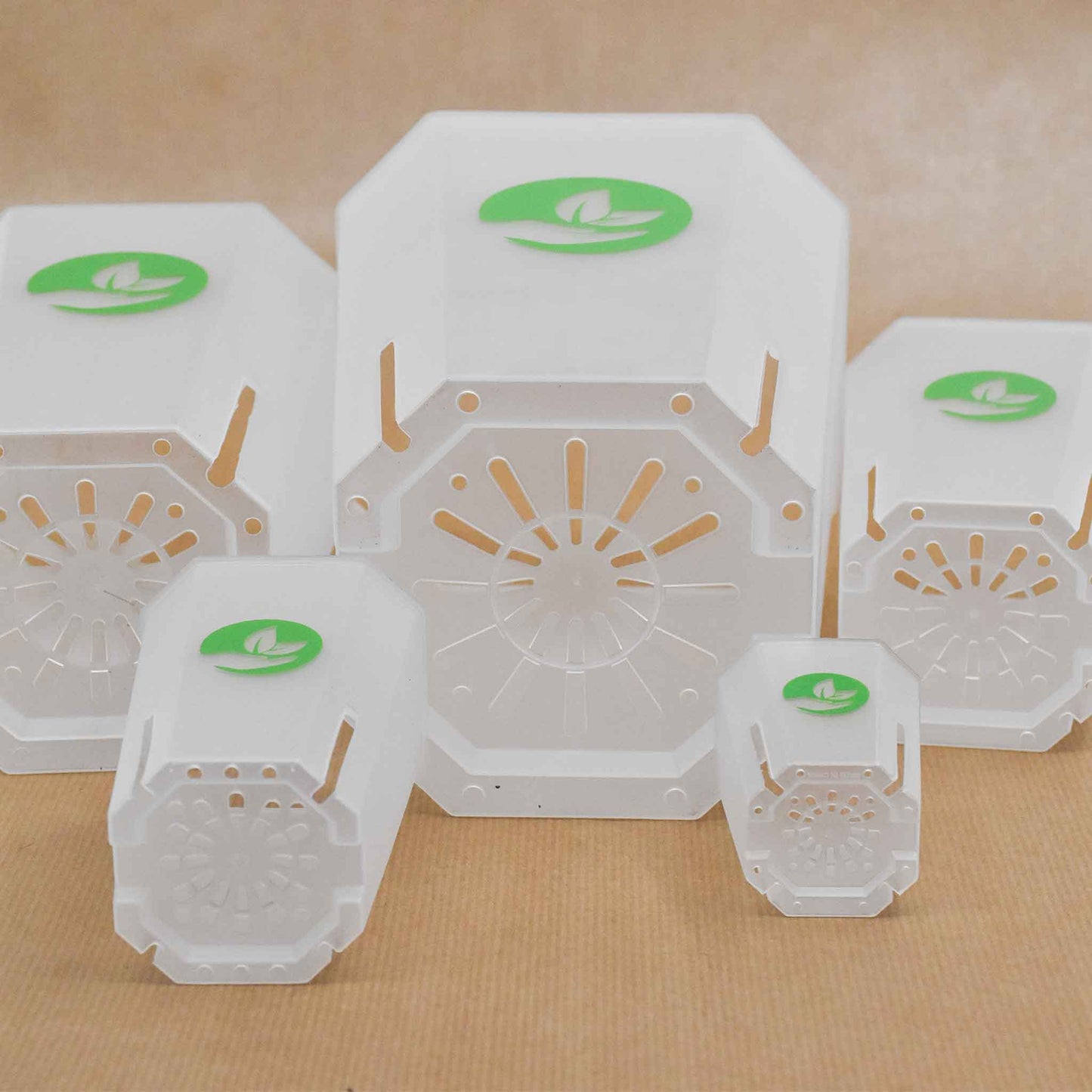 Vasi quadrati trasparenti