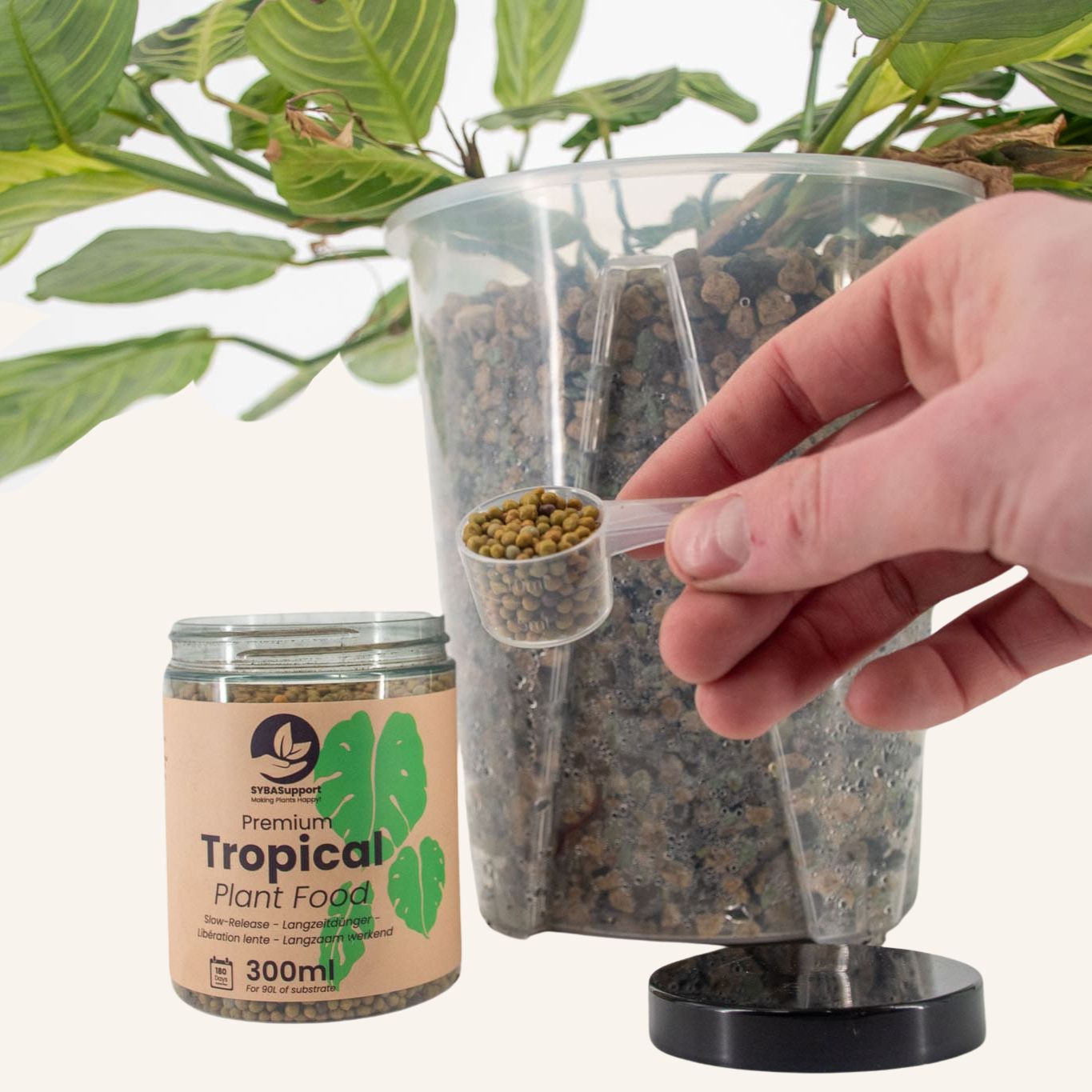 Fertilizzante a rilascio lento per piante tropicali