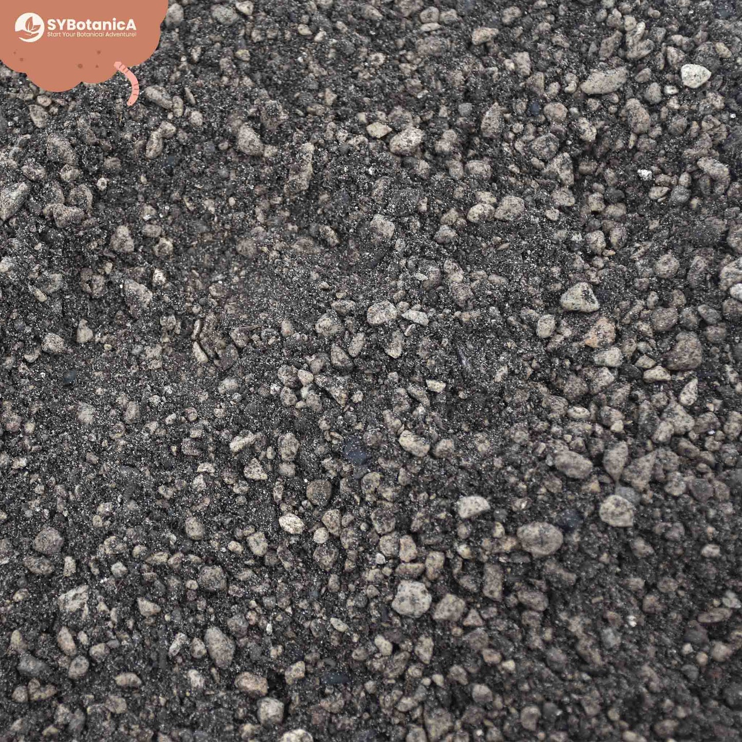 Terriccio per Lithops