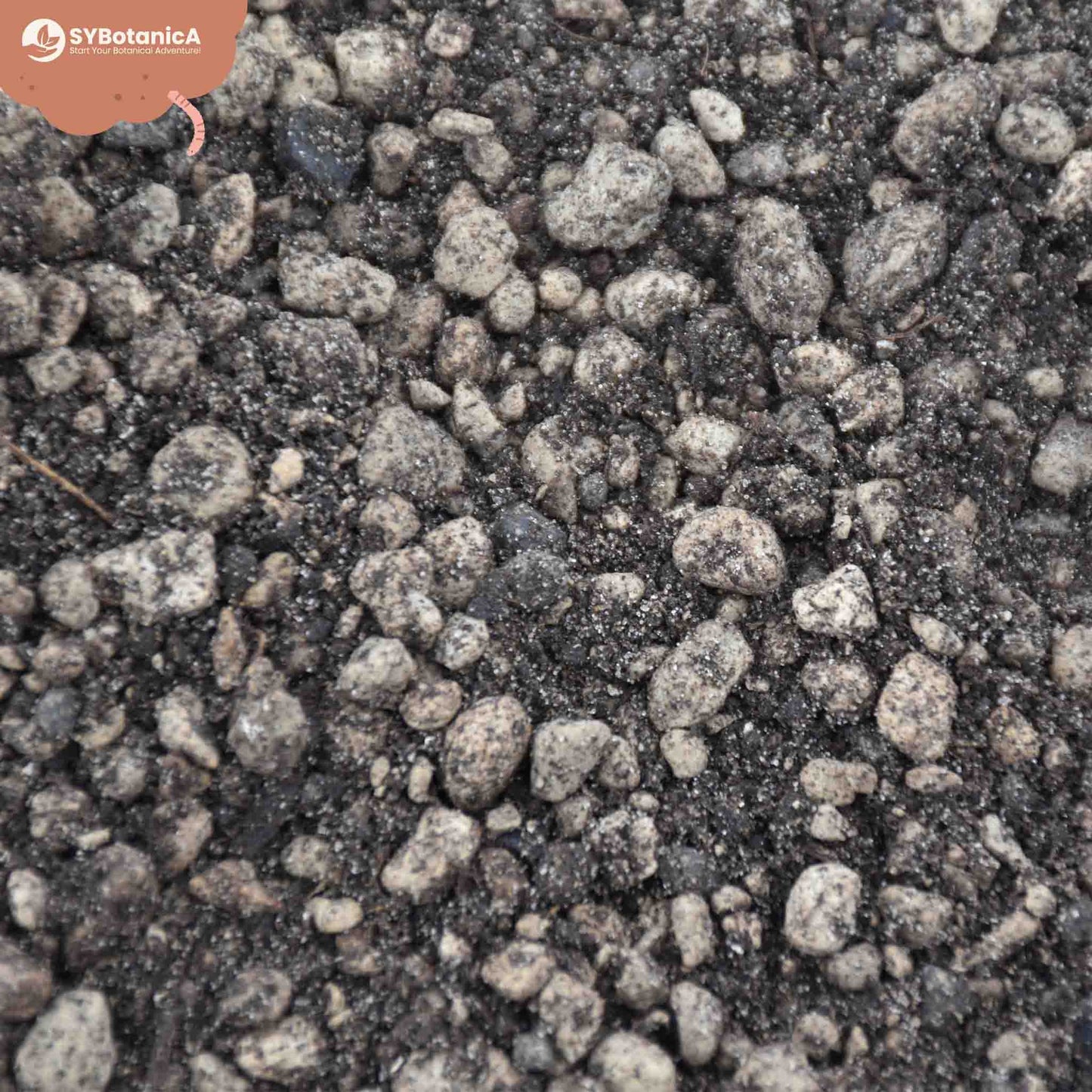 Terriccio per Lithops