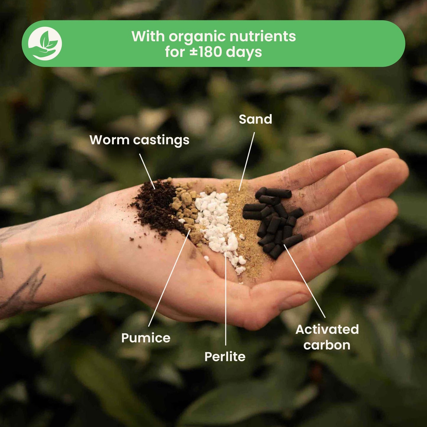 Terriccio per Lithops