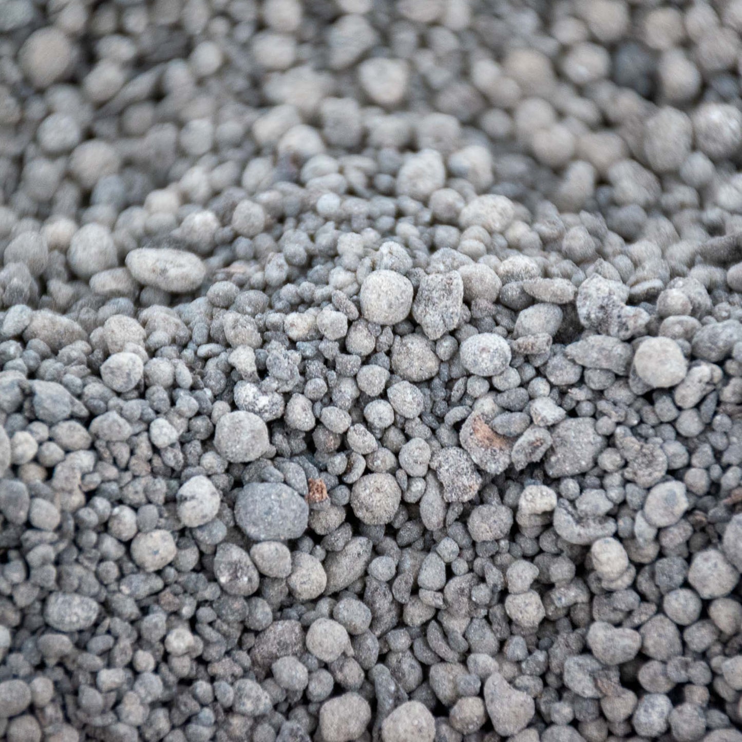 Fertilizzante a rilascio lento per orchidee