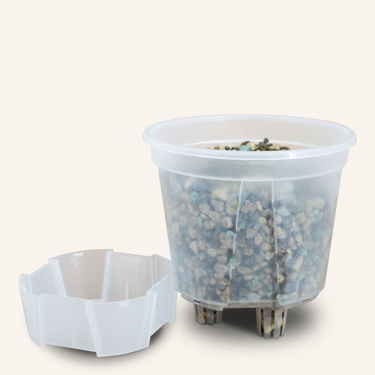 Vasi trasparenti con sistema di auto-irrigazione