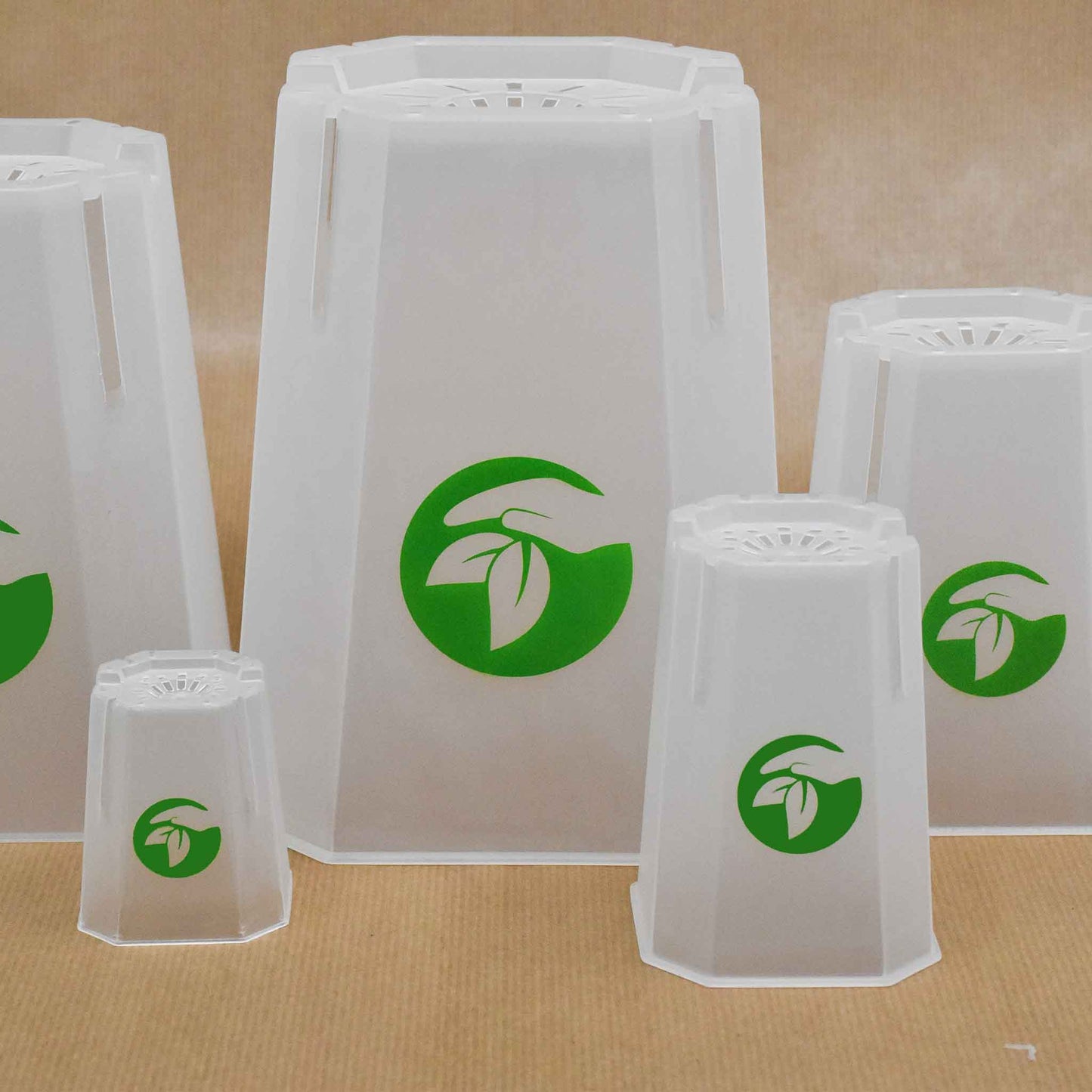 Vasi quadrati trasparenti