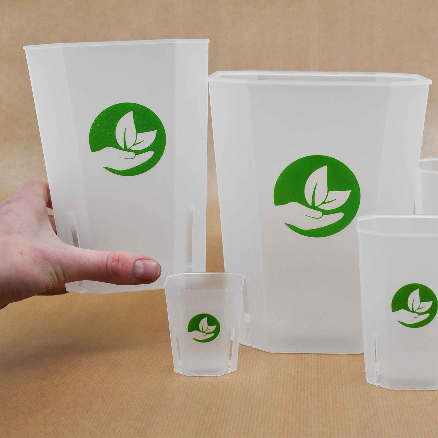 Vasi quadrati trasparenti