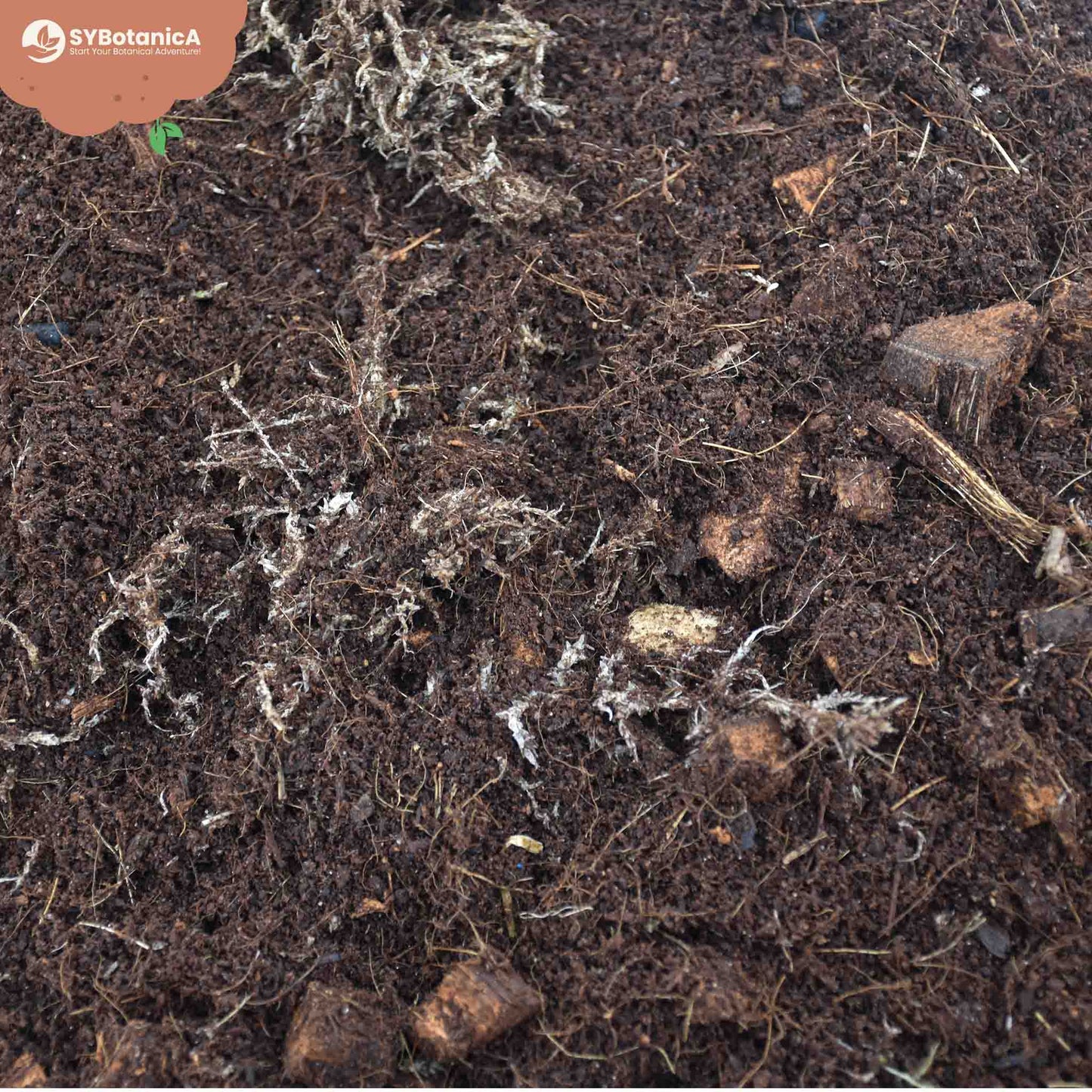 Terriccio per Terrario