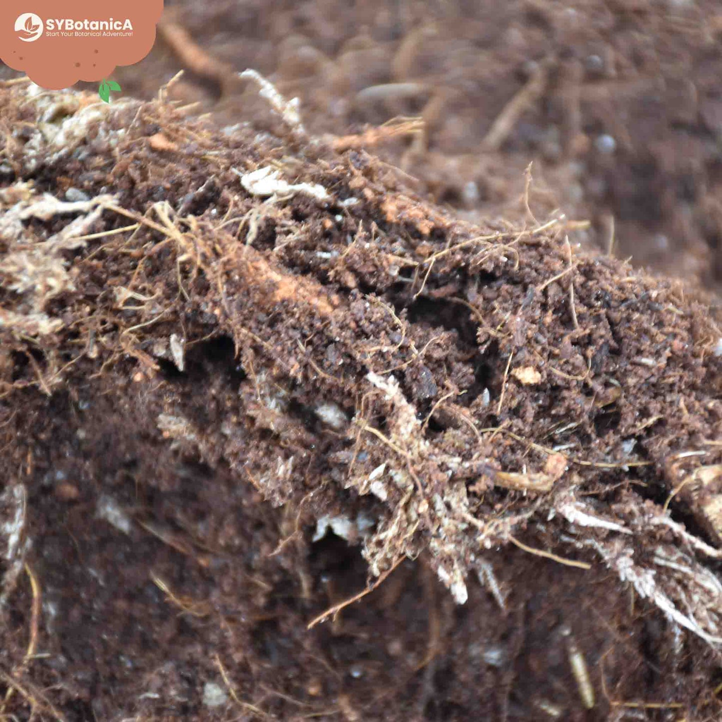 Terriccio per Terrario