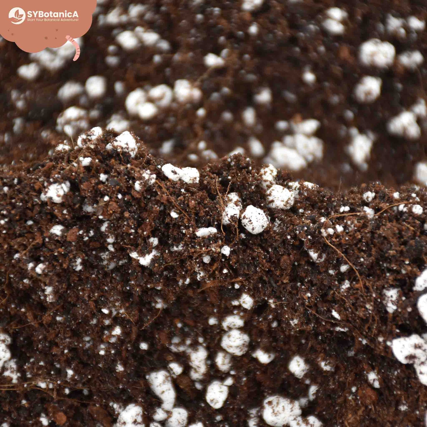 Terriccio per Universale