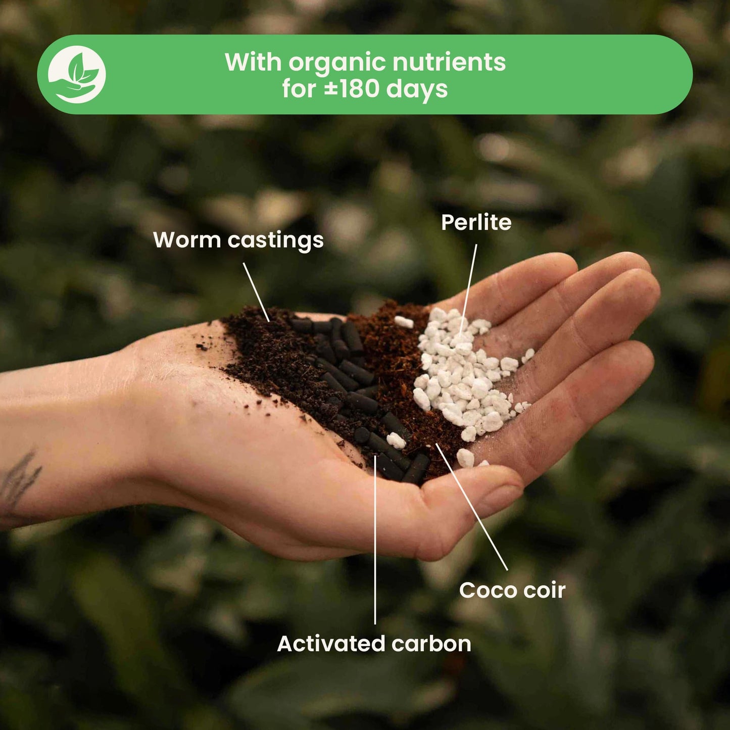 Terriccio per Universale