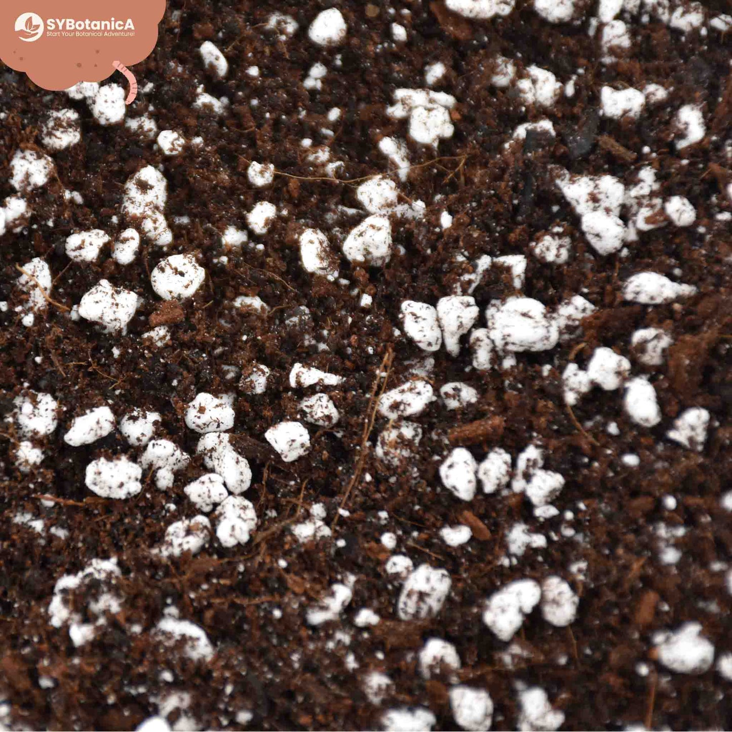 Terriccio per Universale