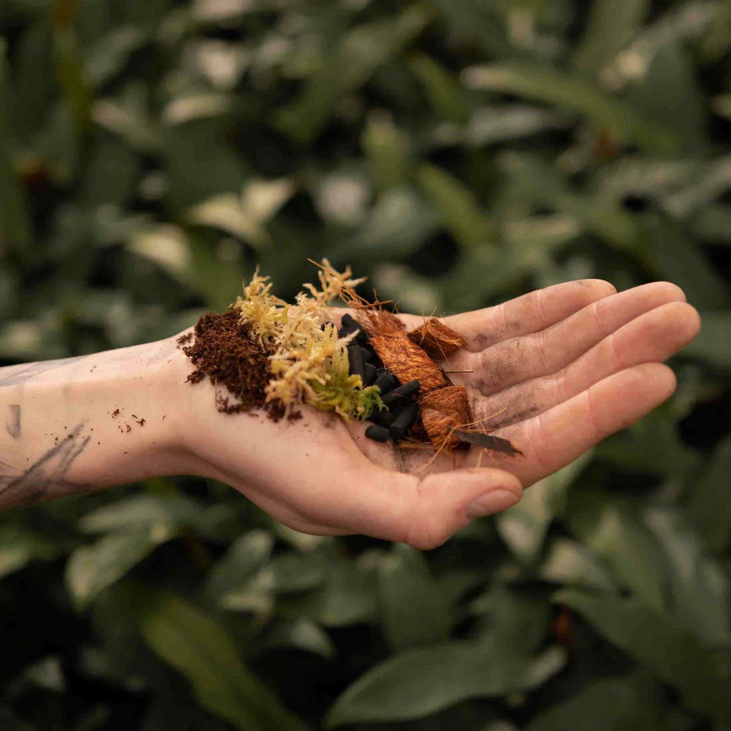 Terriccio per Terrario