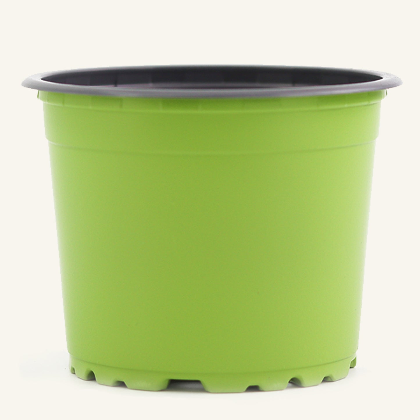 Vaso da vivaio verde