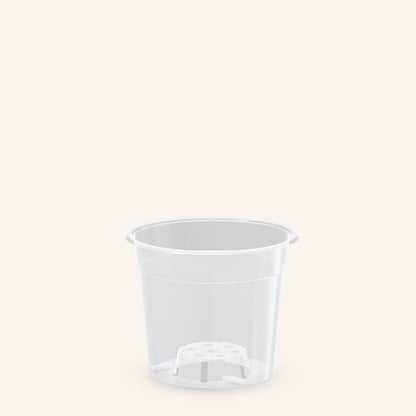 Vasi trasparenti per orchidee