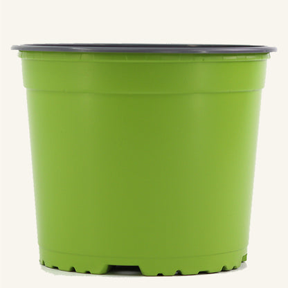 Vaso da vivaio verde
