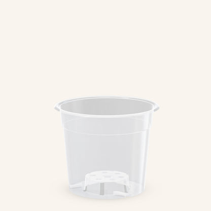 Vasi trasparenti per orchidee