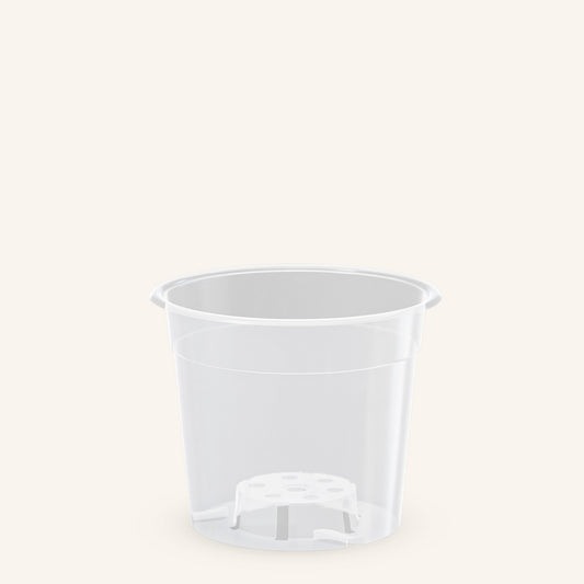 Vasi trasparenti per orchidee