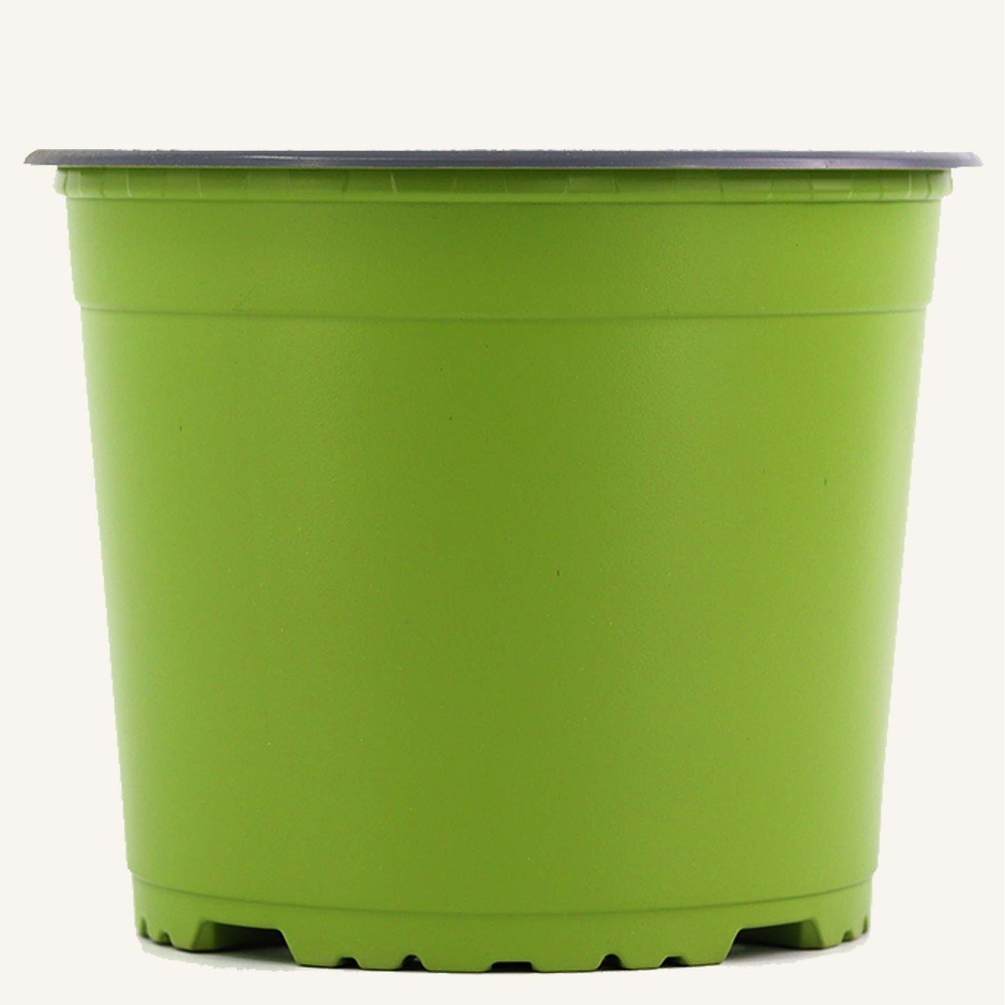 Vaso da vivaio verde