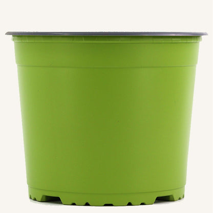 Vaso da vivaio verde
