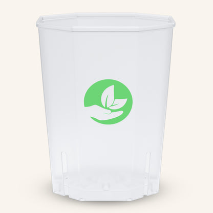 Vasi quadrati trasparenti