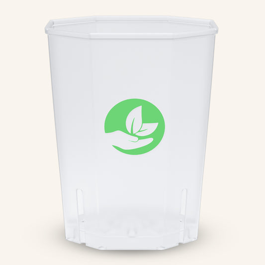 Vasi quadrati trasparenti