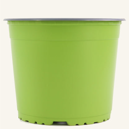 Vaso da vivaio verde
