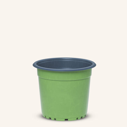 Vaso da vivaio verde