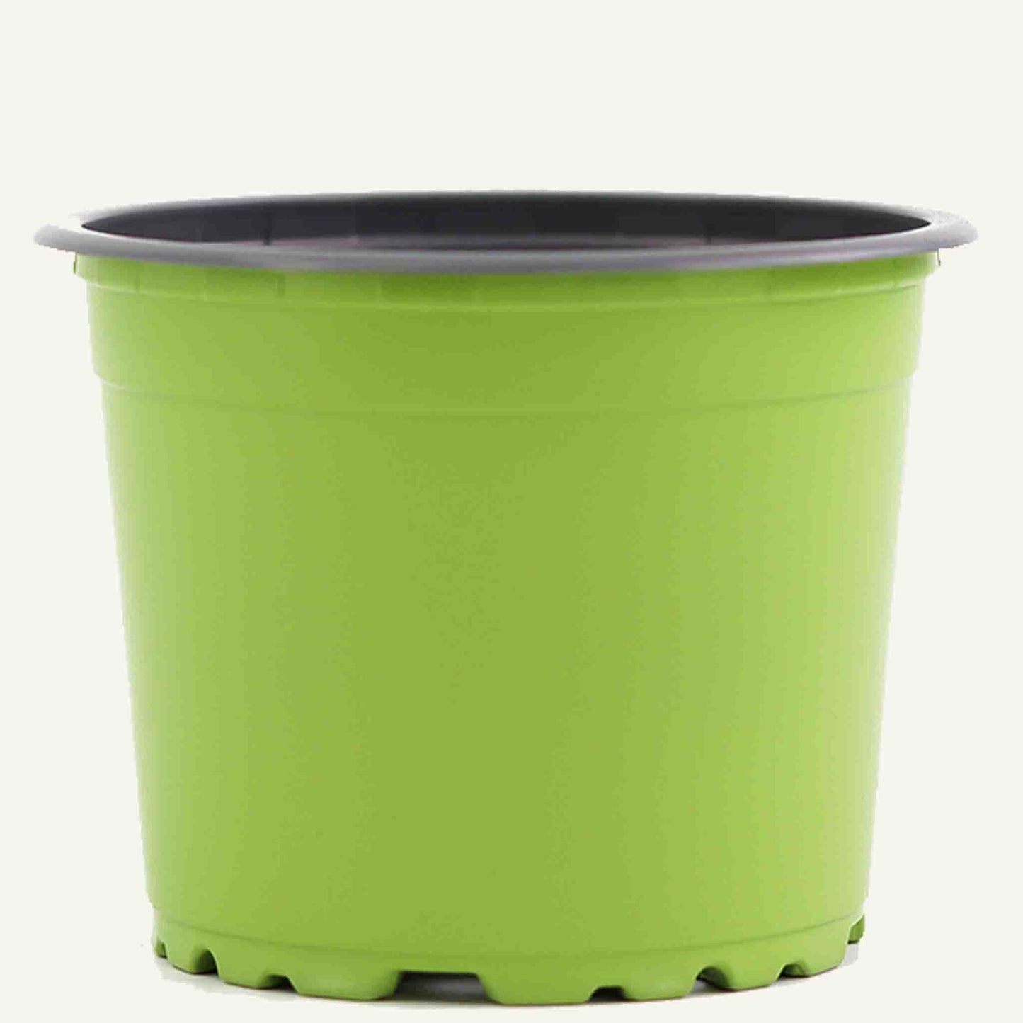 Vaso da vivaio verde