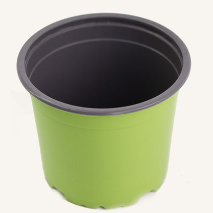 Vaso da vivaio verde
