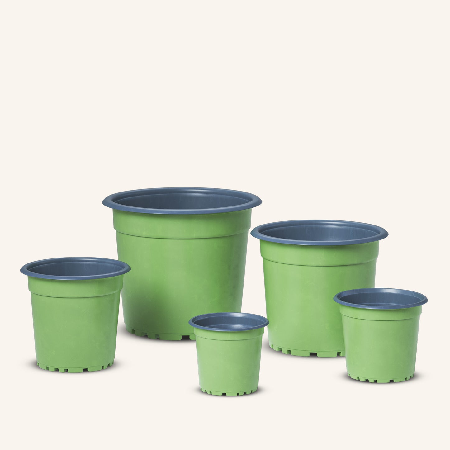 Vaso da vivaio verde