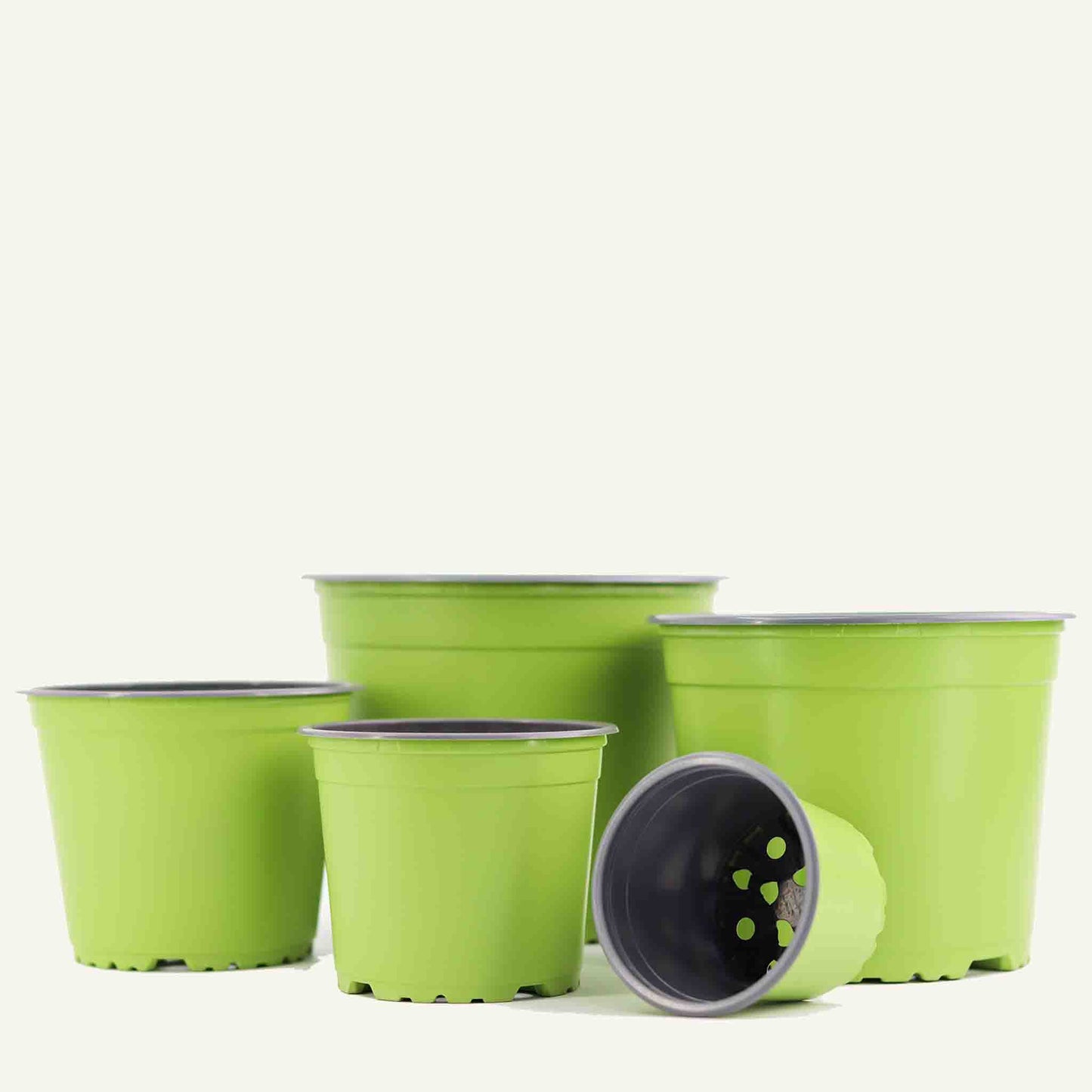 Vaso da vivaio verde