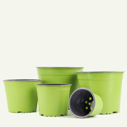 Vaso da vivaio verde