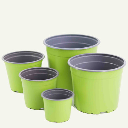 Vaso da vivaio verde