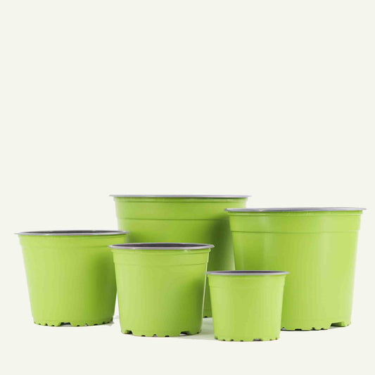 Vaso da vivaio verde