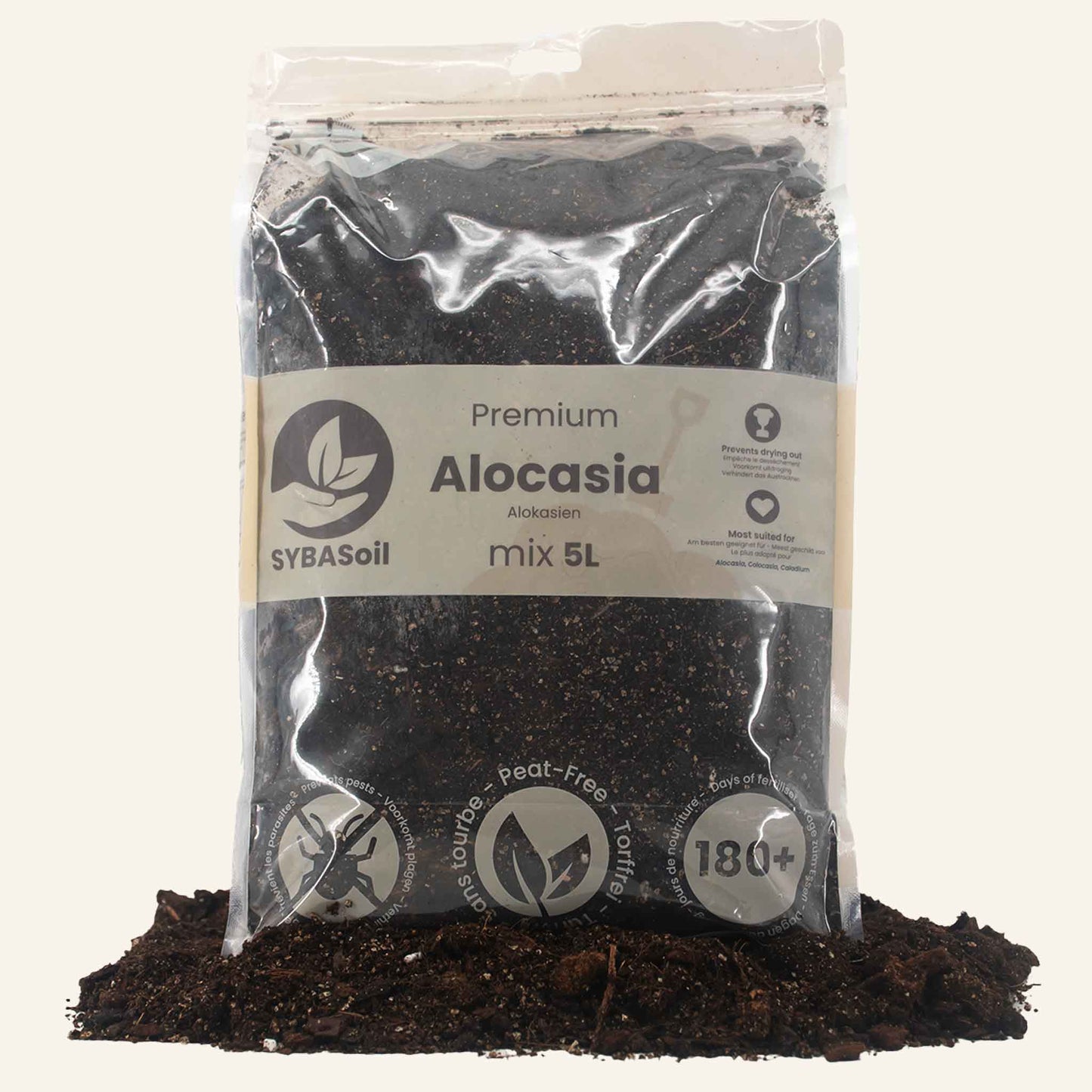 Terriccio per Alocasia