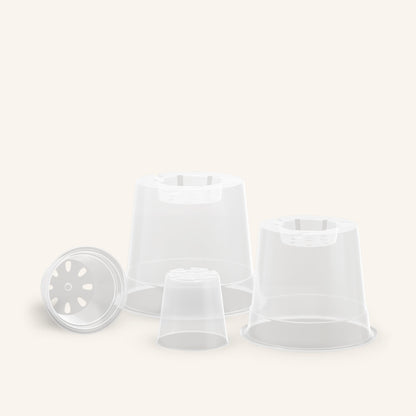 Vasi trasparenti per orchidee