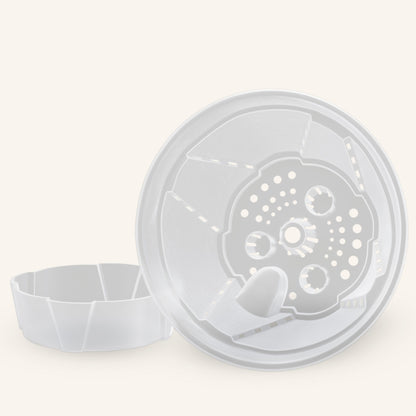 Vasi trasparenti con sistema di auto-irrigazione