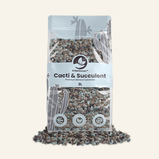 Mix Minerale per Cactus e Succulente