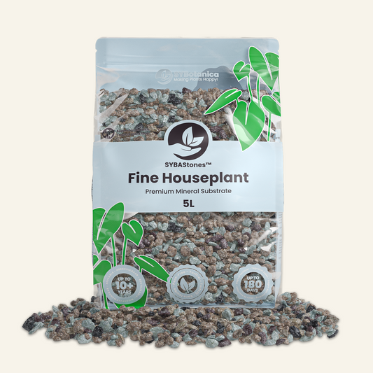 Mix Minerale per Piante Da Interno