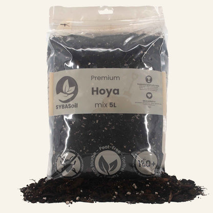 Terriccio per Hoya